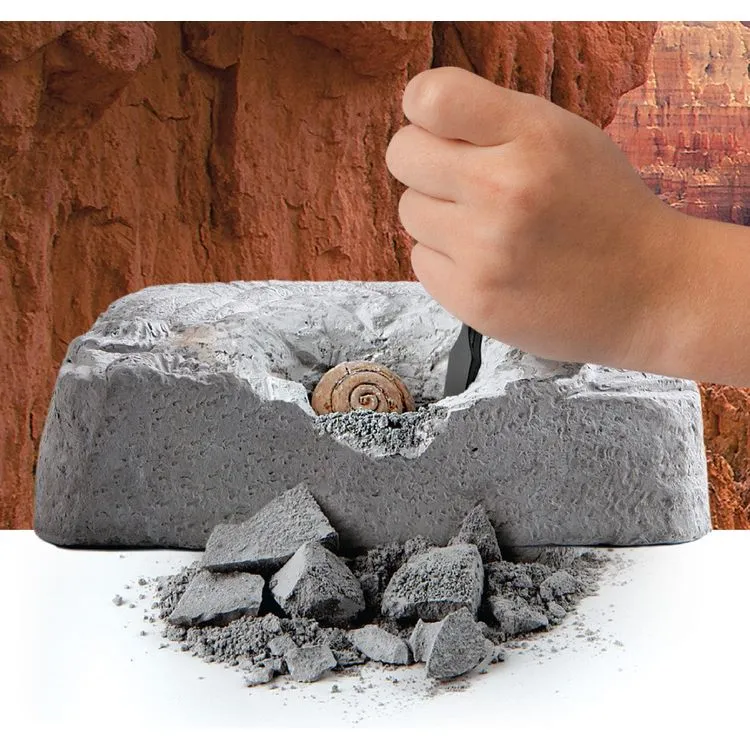 Colossal Fossil Dig Set