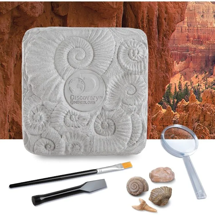 Colossal Fossil Dig Set