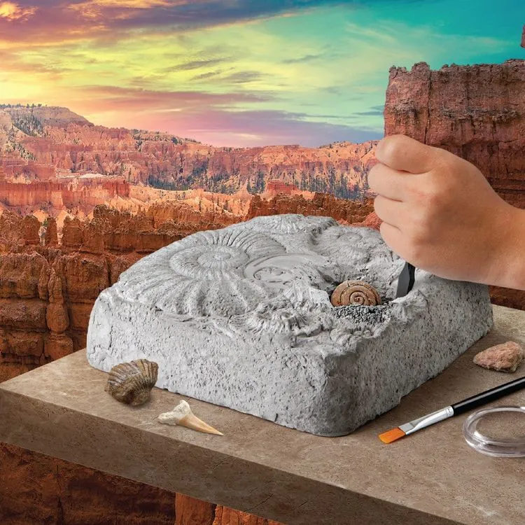 Colossal Fossil Dig Set