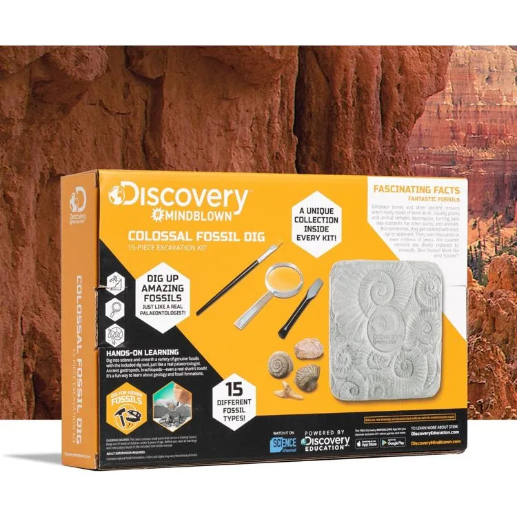 Colossal Fossil Dig Set