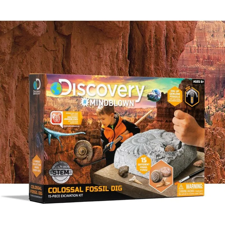 Colossal Fossil Dig Set