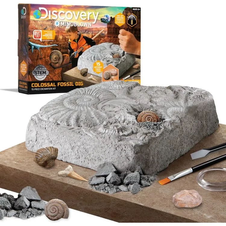 Colossal Fossil Dig Set