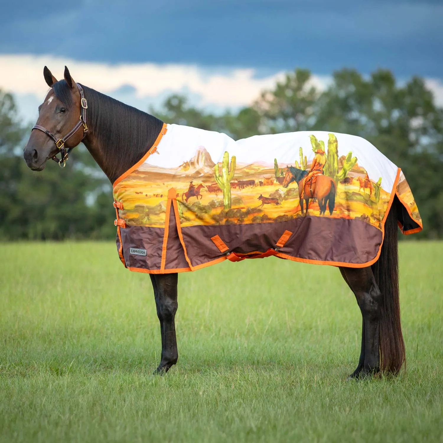 Jeffers Expression 1200 Denier Standard Neck Turnout Blanket, 240 Gram, Cattle Drive