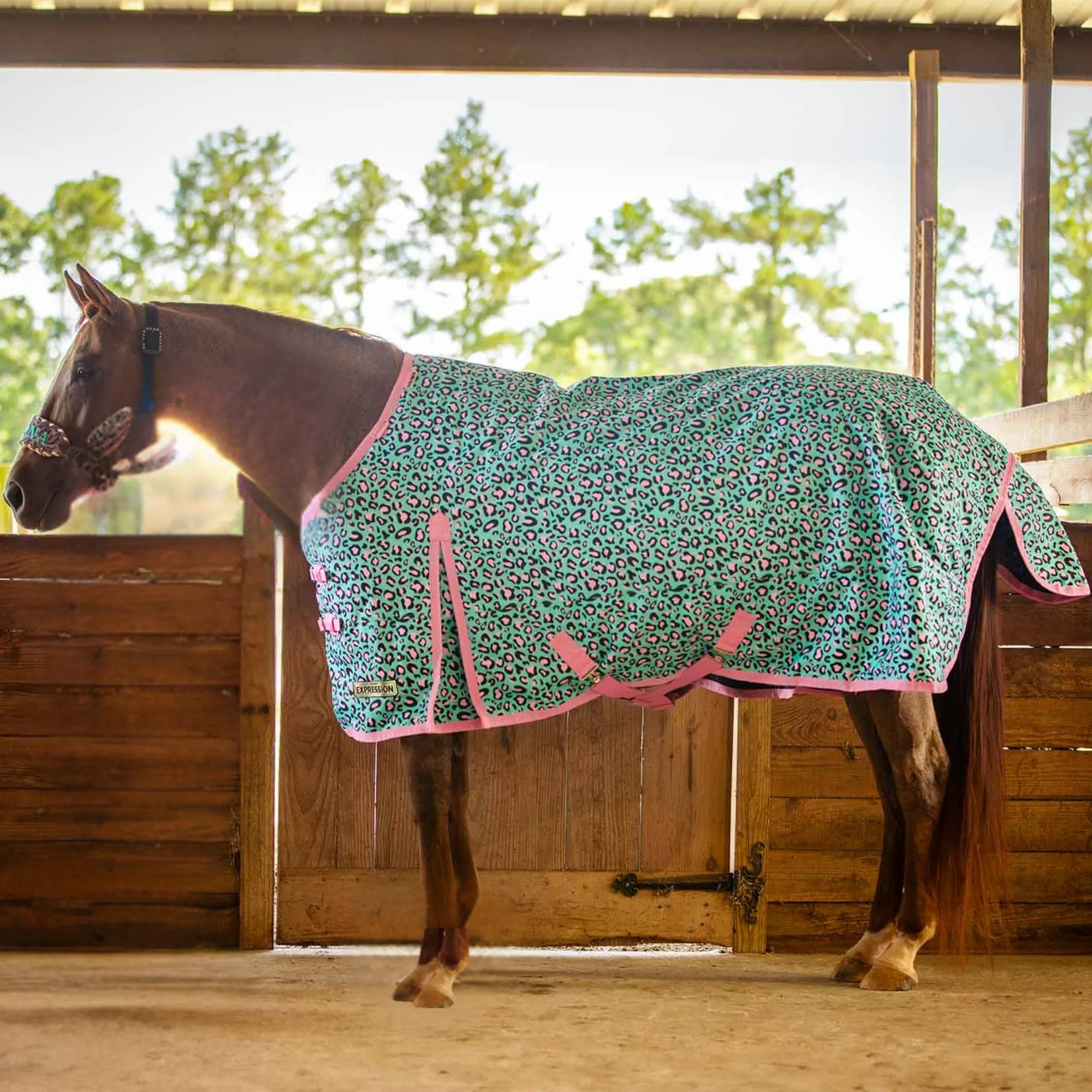 Jeffers Expression 1200 Denier Standard Neck Turnout Sheet, 0 Gram, Party Cheetah