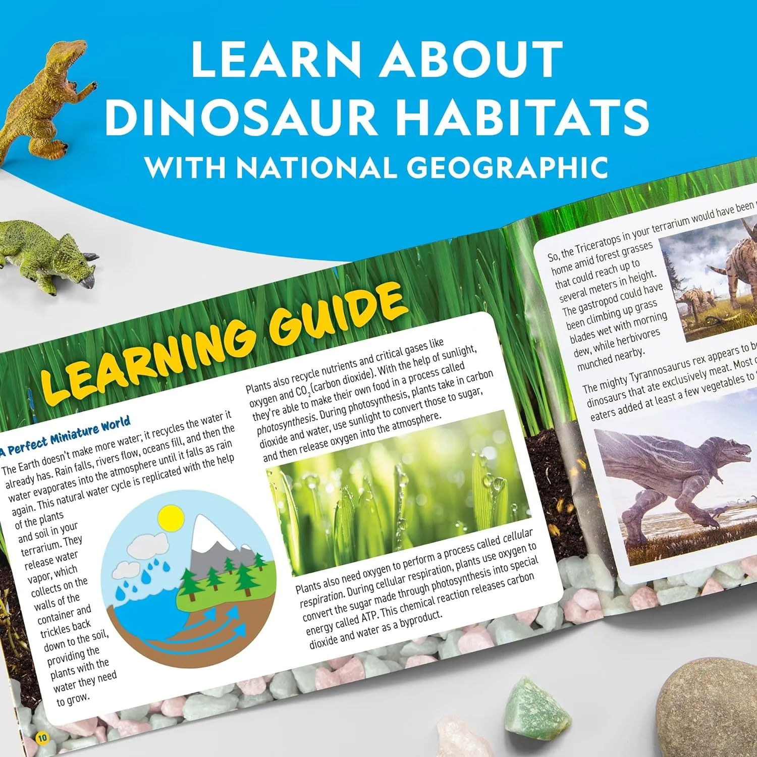 Light up Terrarium Kit for Kids - Build a Dinosaur Habitat with Real Plants & Gemstones, Science Kit, Dinosaur Toys for Kids (Amazon Exclusive)