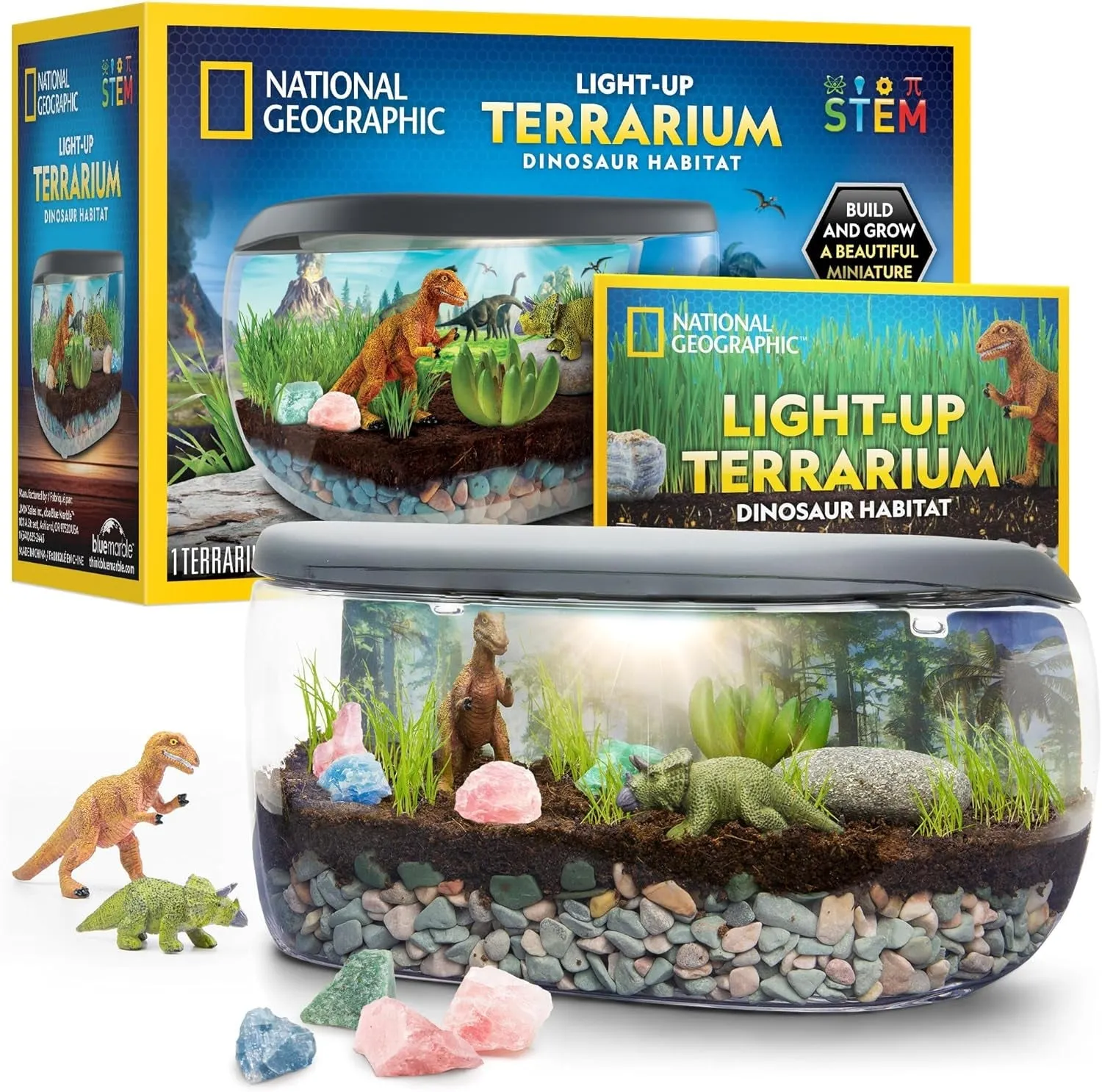 Light up Terrarium Kit for Kids - Build a Dinosaur Habitat with Real Plants & Gemstones, Science Kit, Dinosaur Toys for Kids (Amazon Exclusive)