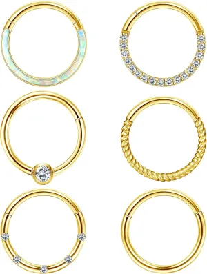 LOLIAS Septum Rings 16G 18G Surgical Steel Nose Rings Hoops for Women Seamless Clicker Hinged Segment Hoop Lip Nose Rings Conch Lip Helix Cartilage Earring Septum Jewelry Lip Nose Daith Hlix Piercing Jewelry 8MM 10MM 12MM