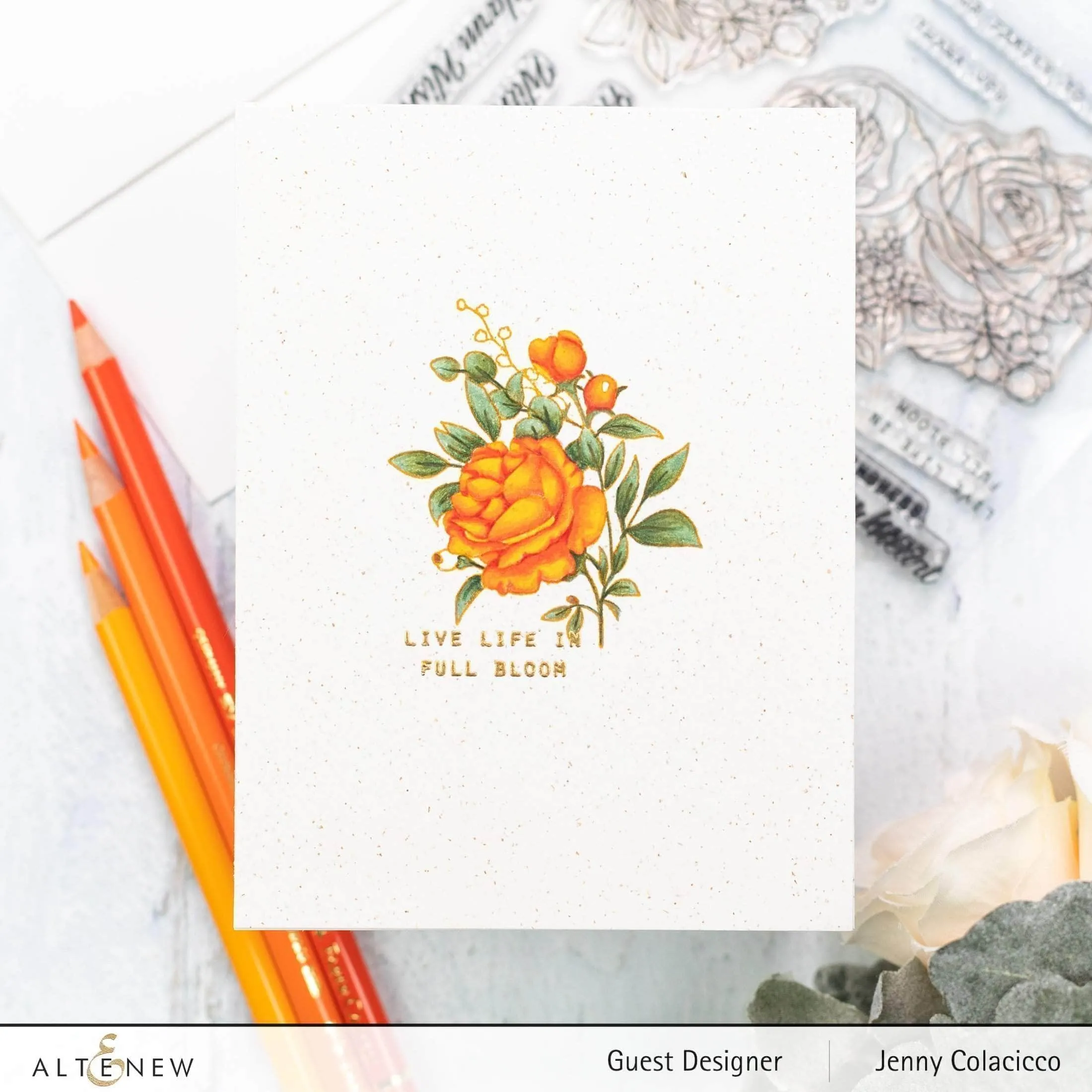 Paint-A-Flower: Rose Outline Stamp Set