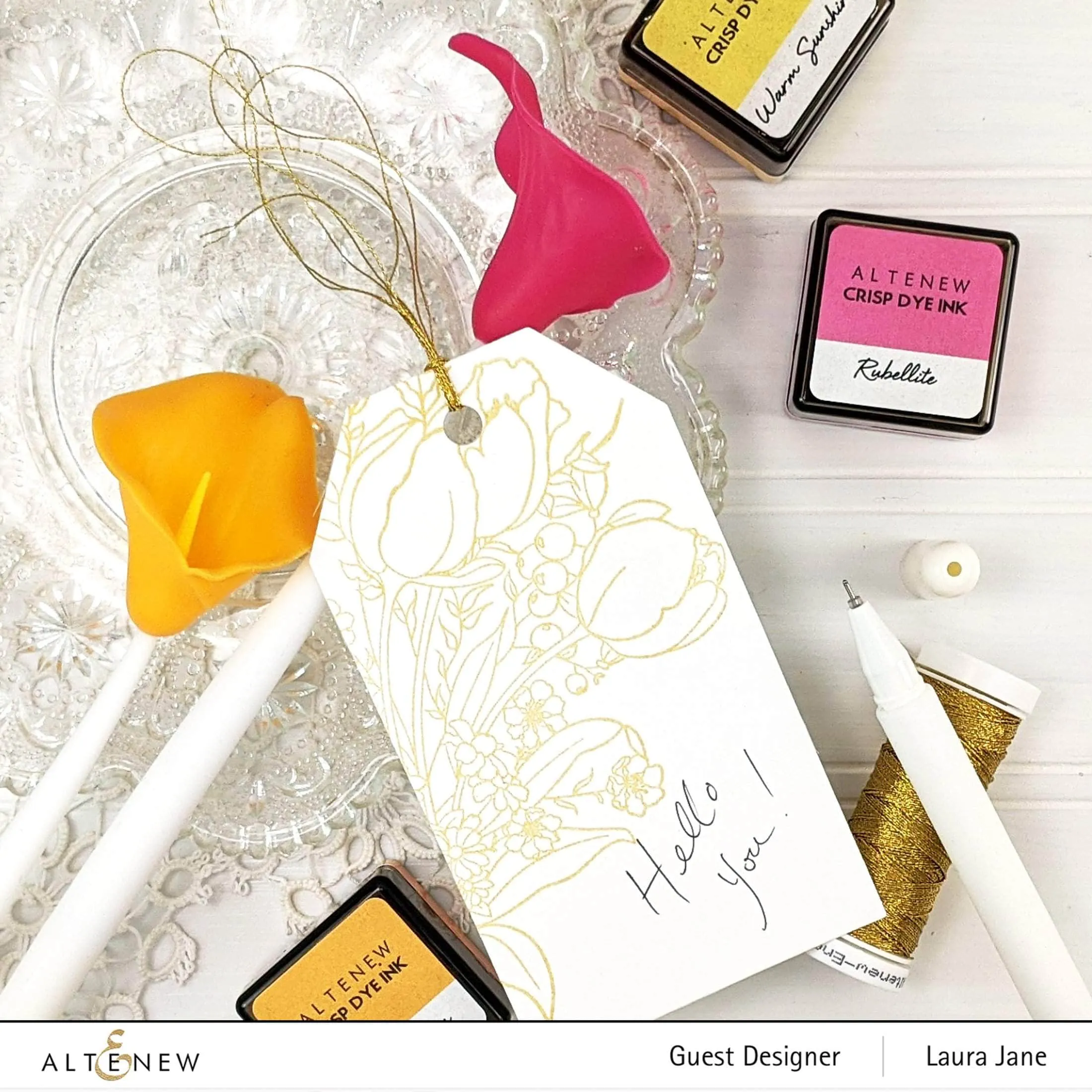 Paint-A-Flower: Tulips Outline Stamp Set