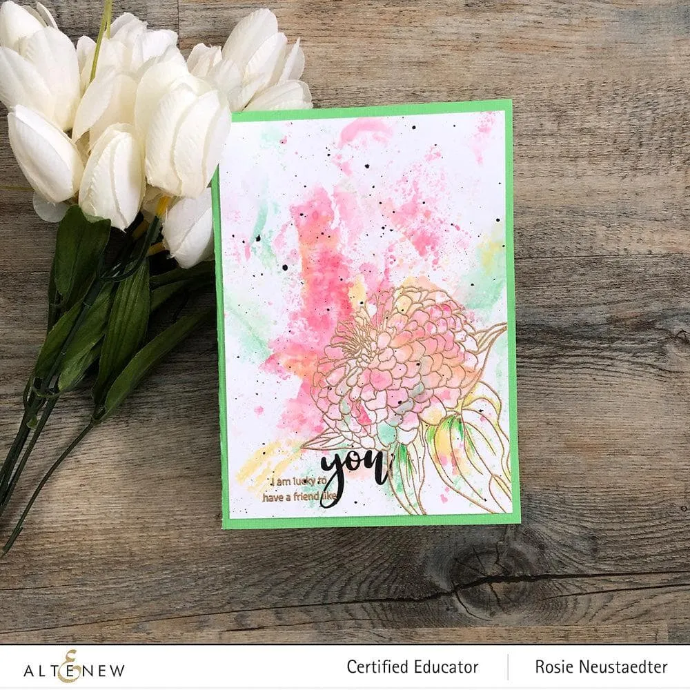 Paint-A-Flower: Zinnia Magellan Rose Outline Stamp Set