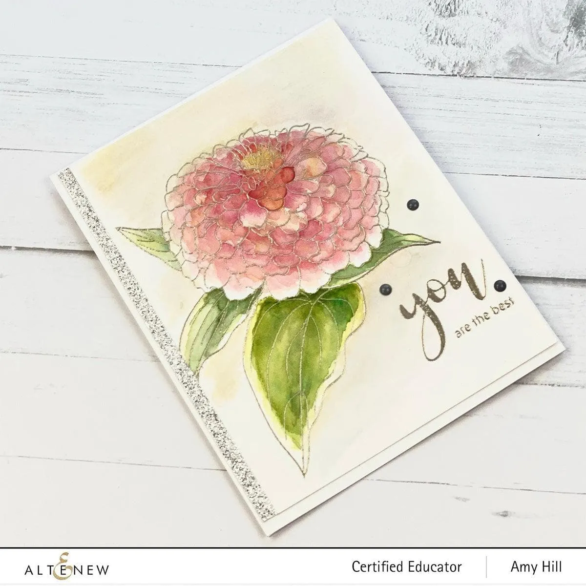 Paint-A-Flower: Zinnia Magellan Rose Outline Stamp Set
