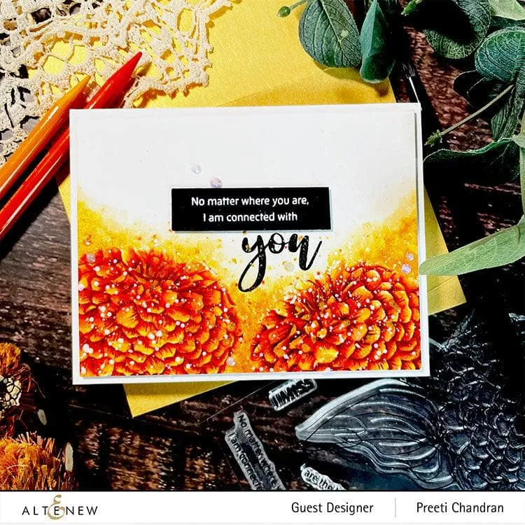 Paint-A-Flower: Zinnia Magellan Rose Outline Stamp Set