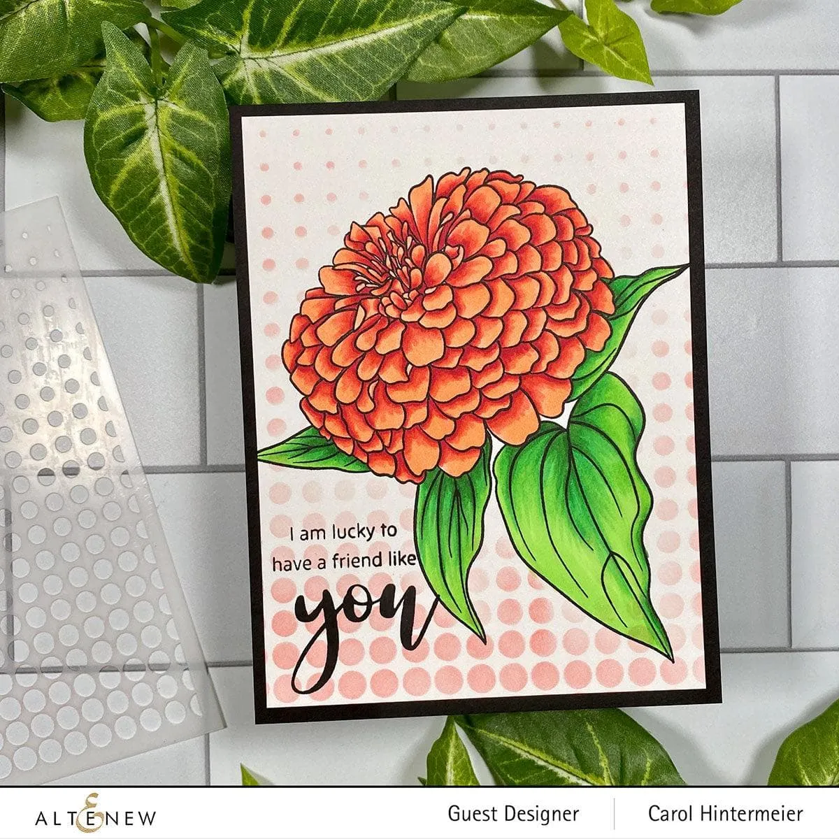 Paint-A-Flower: Zinnia Magellan Rose Outline Stamp Set