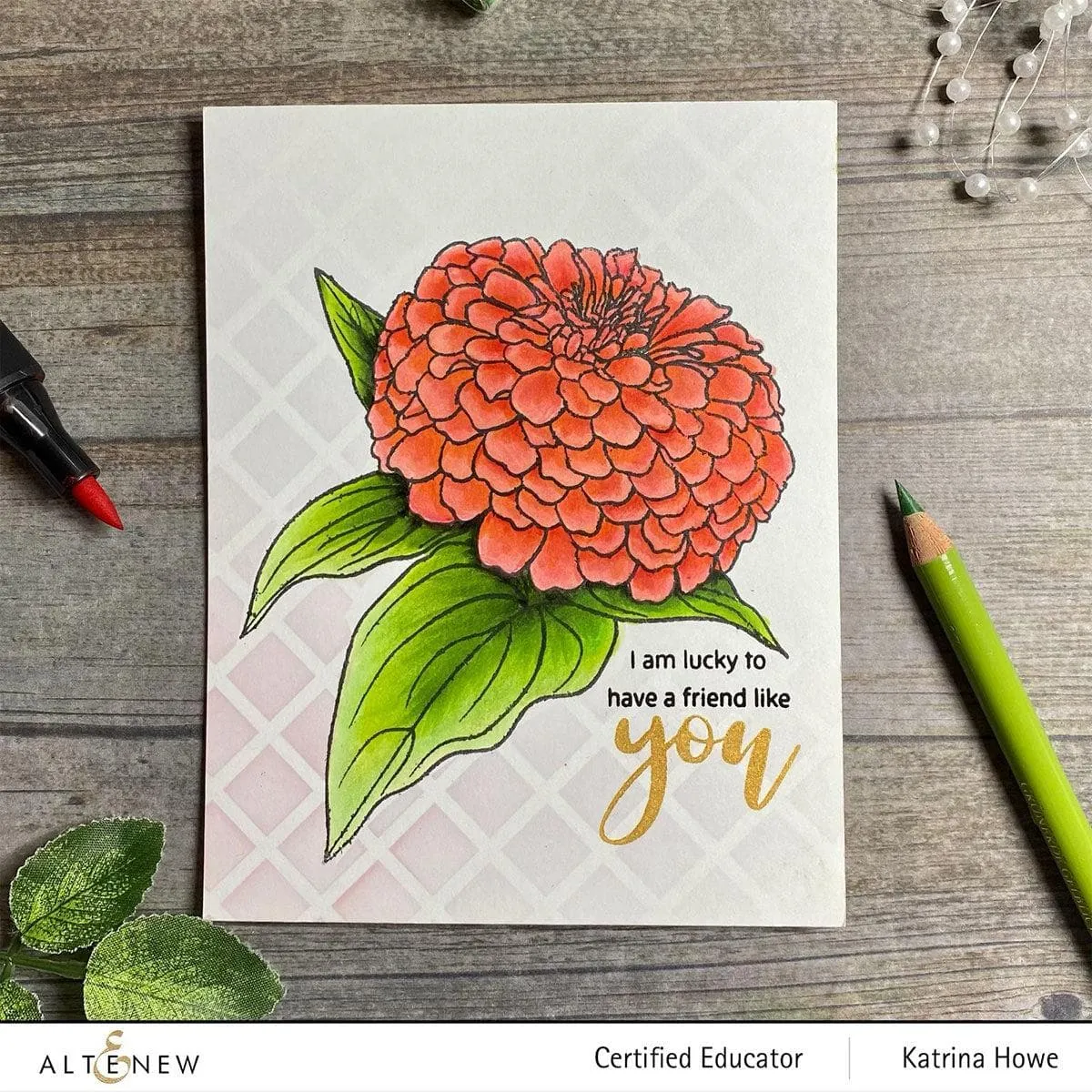 Paint-A-Flower: Zinnia Magellan Rose Outline Stamp Set
