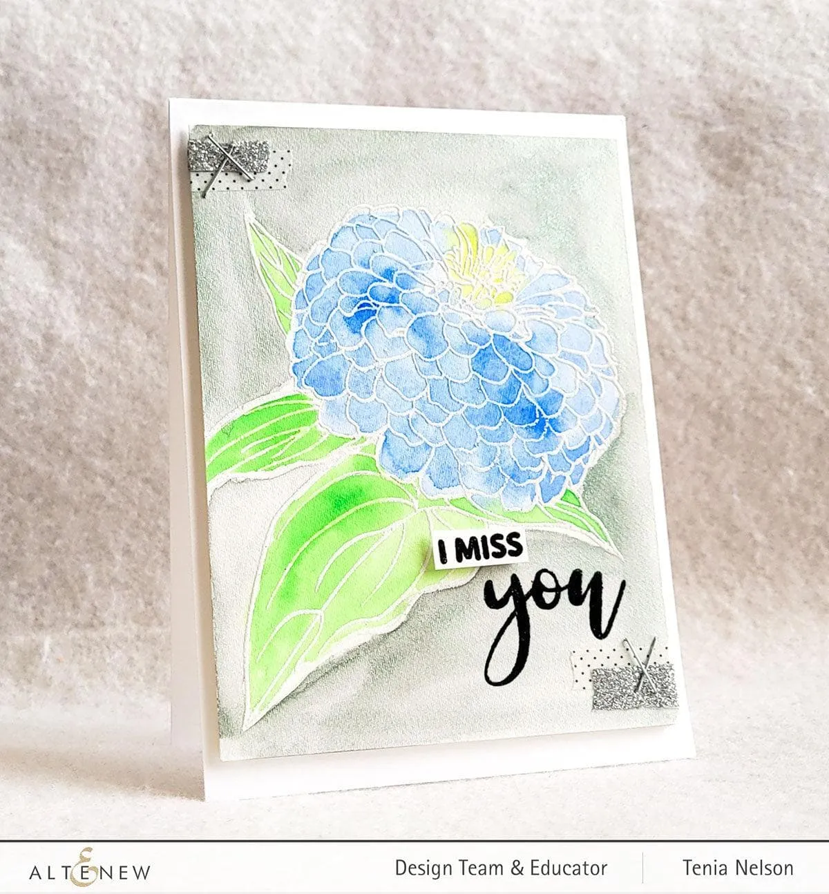Paint-A-Flower: Zinnia Magellan Rose Outline Stamp Set