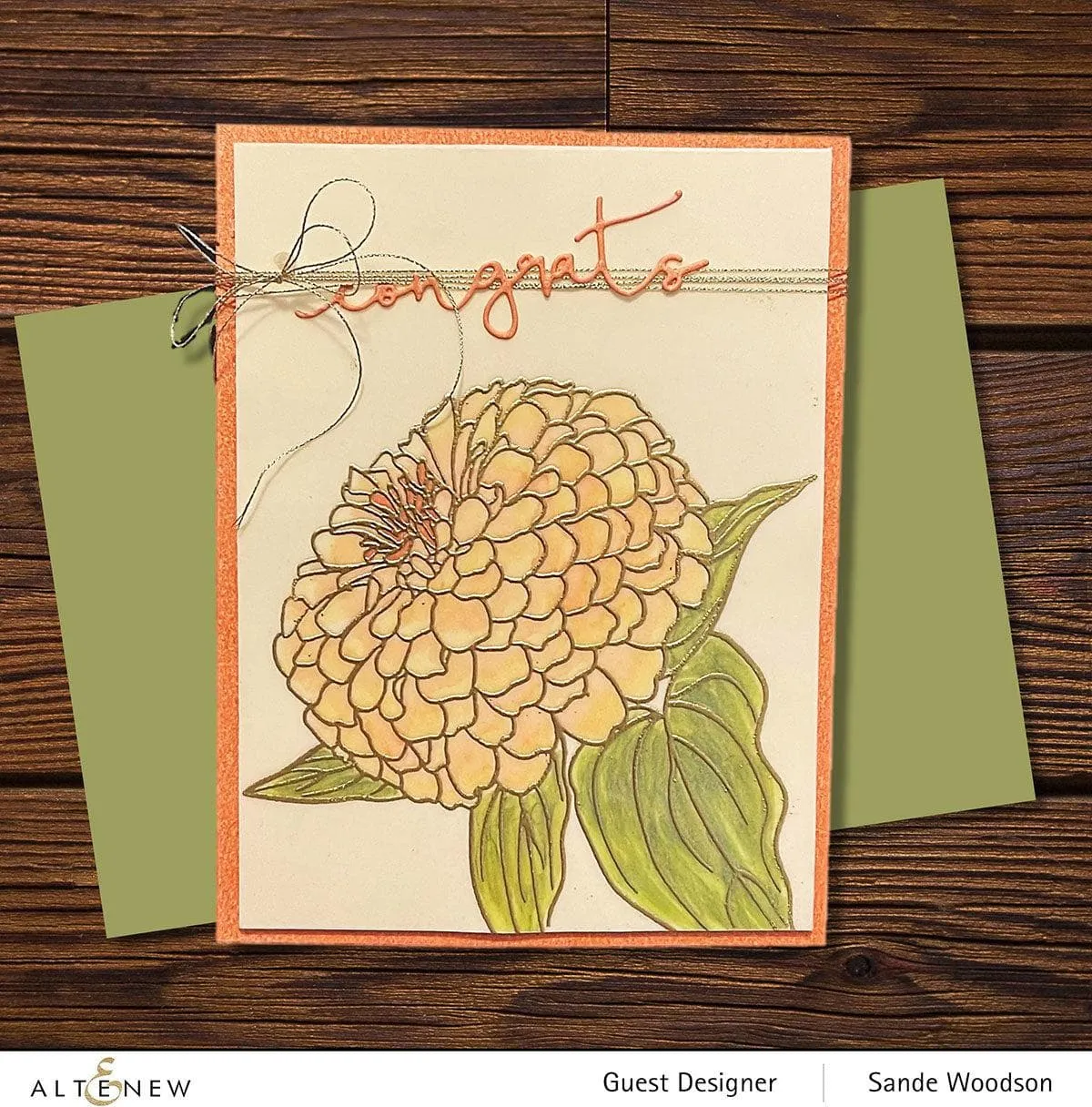 Paint-A-Flower: Zinnia Magellan Rose Outline Stamp Set