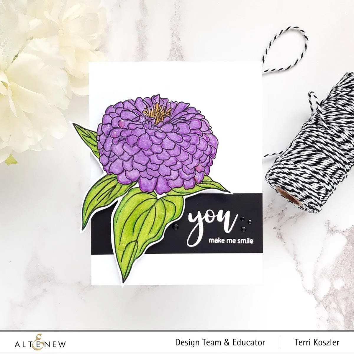 Paint-A-Flower: Zinnia Magellan Rose Outline Stamp Set