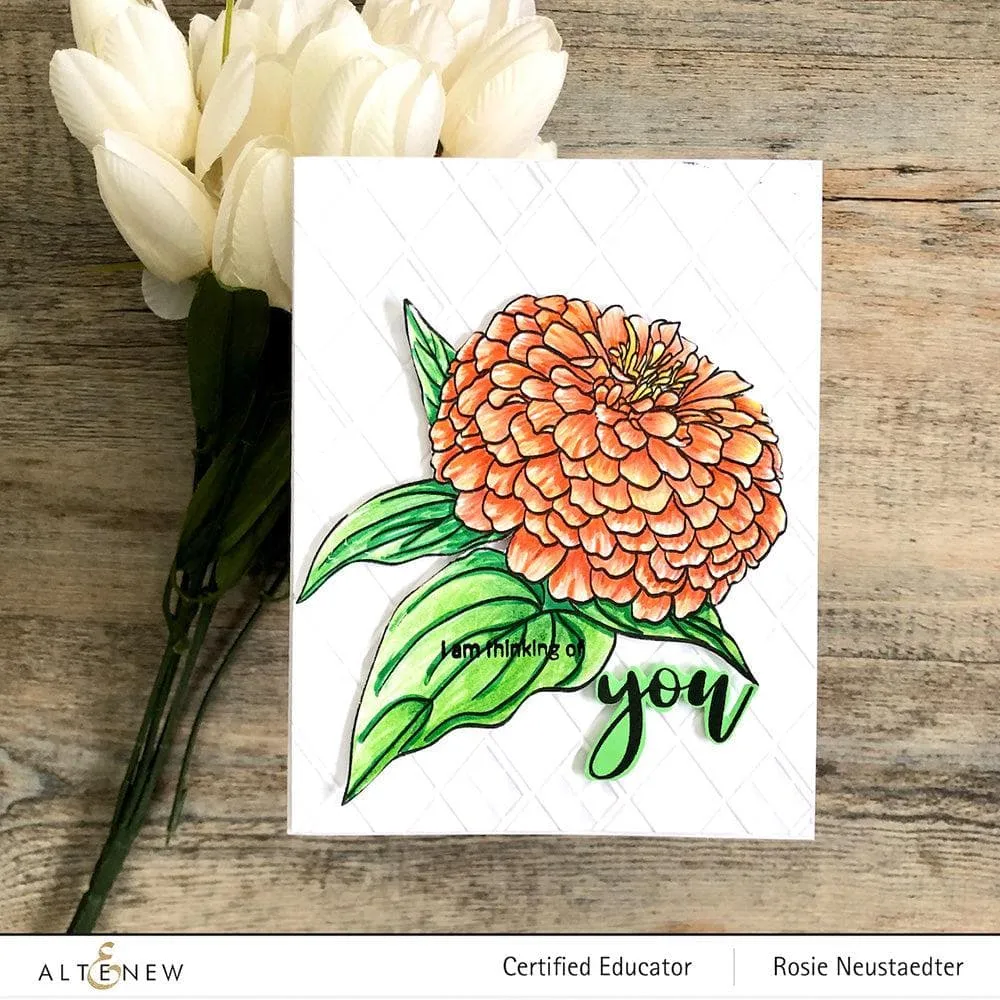 Paint-A-Flower: Zinnia Magellan Rose Outline Stamp Set