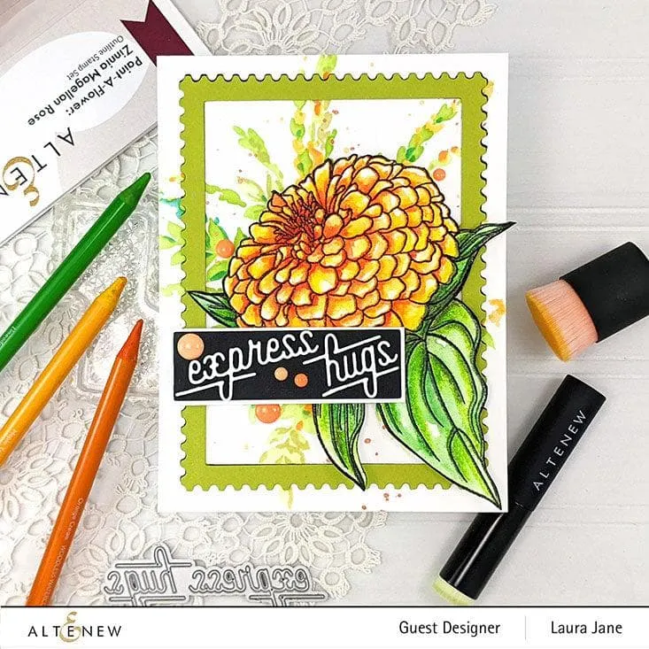 Paint-A-Flower: Zinnia Magellan Rose Outline Stamp Set