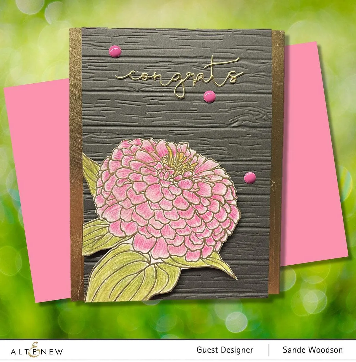 Paint-A-Flower: Zinnia Magellan Rose Outline Stamp Set