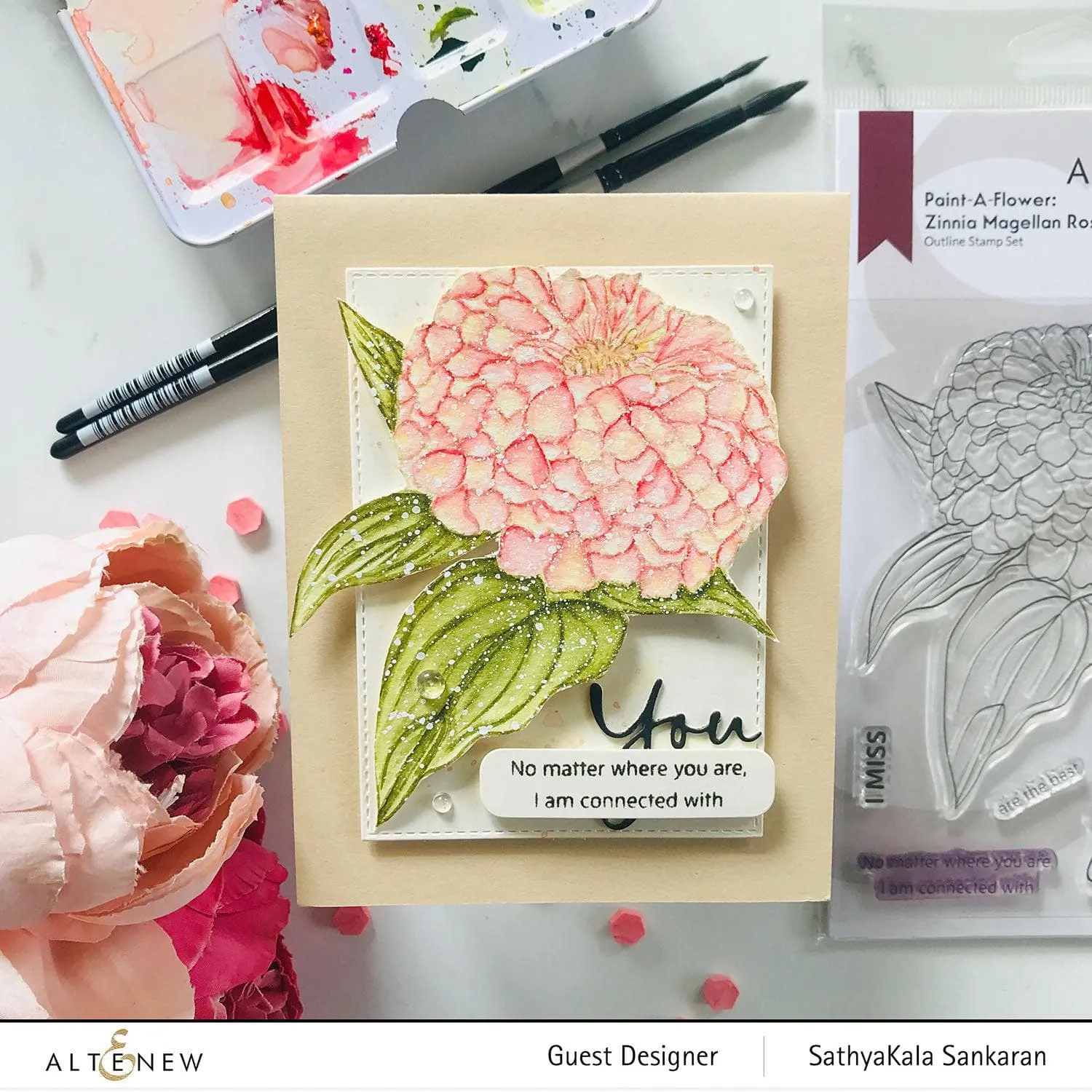 Paint-A-Flower: Zinnia Magellan Rose Outline Stamp Set