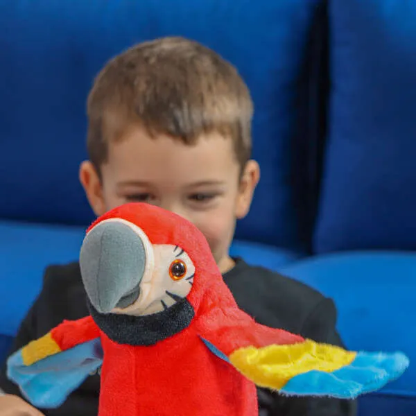 Parroty - A talking parrot is a talking toy