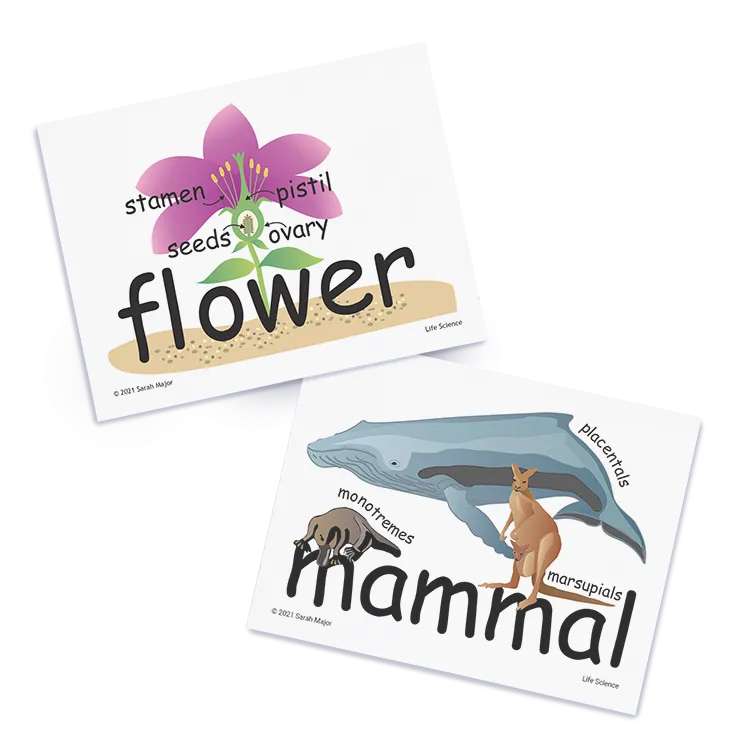 SnapWords® Science Vocabulary Kit