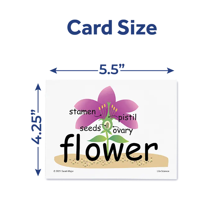 SnapWords® Science Vocabulary Kit